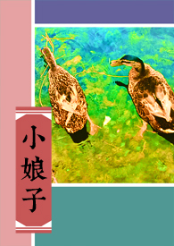 小娘子真实身份